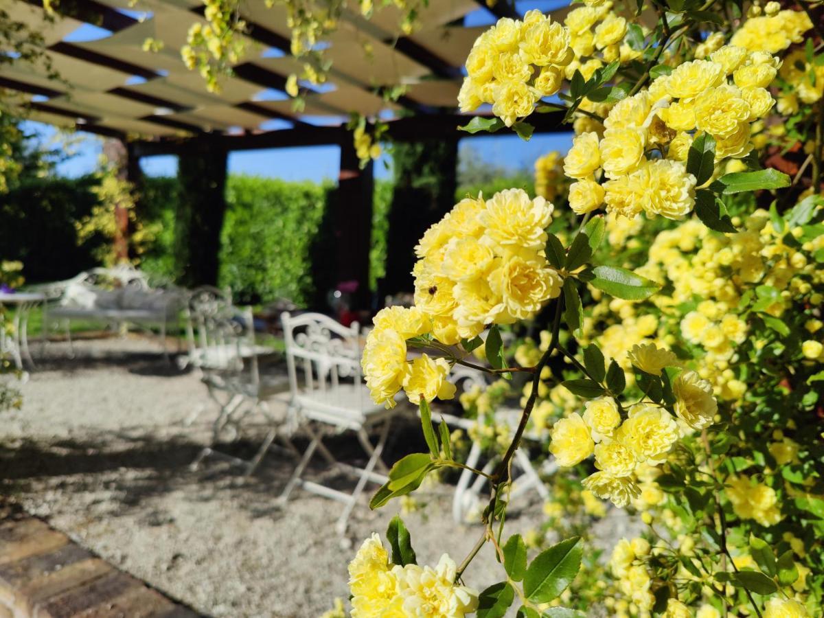 Ca' Le Cerque, Villa Surrounded By The Marche Nature 福松布罗内 外观 照片