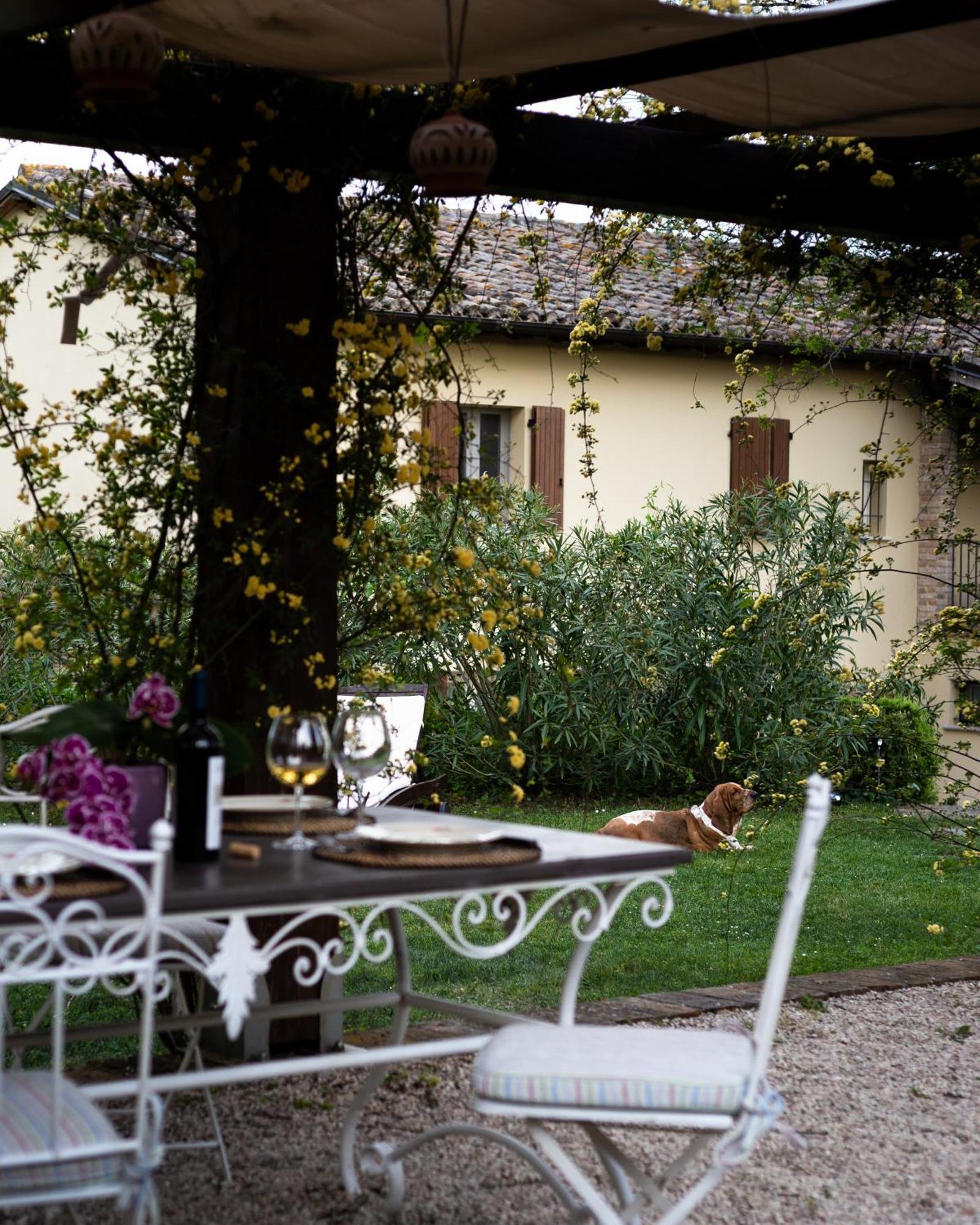 Ca' Le Cerque, Villa Surrounded By The Marche Nature 福松布罗内 外观 照片