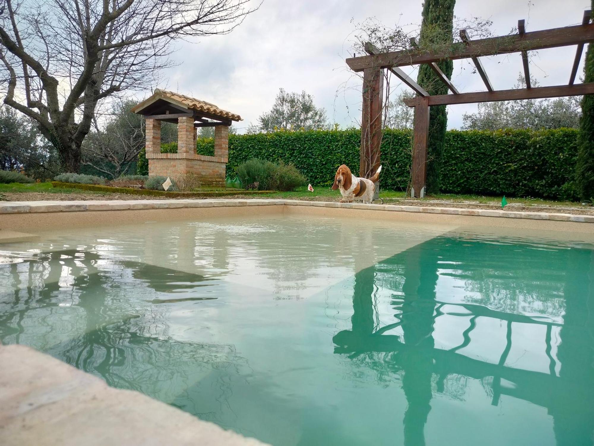 Ca' Le Cerque, Villa Surrounded By The Marche Nature 福松布罗内 外观 照片